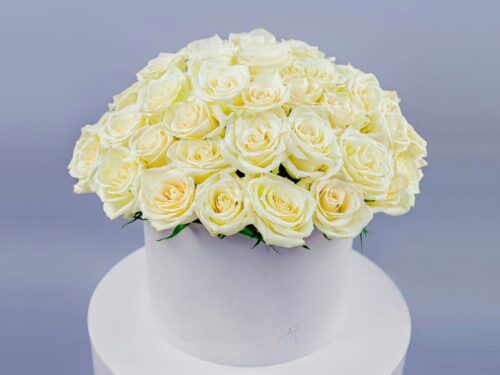 60 White Roses in a Box