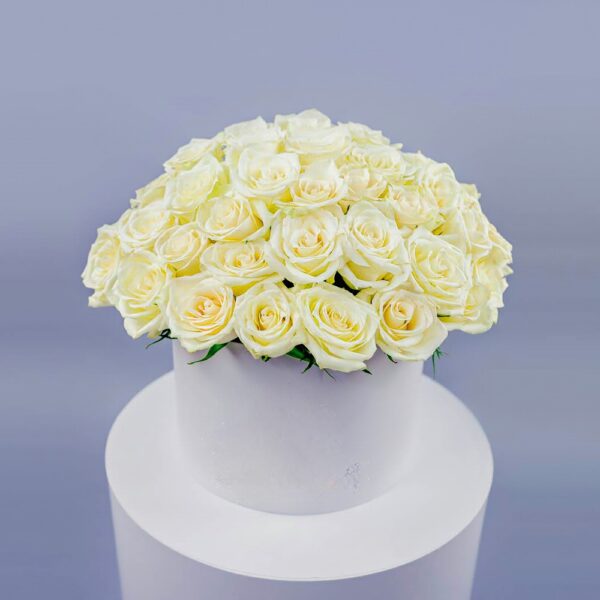 60 White Roses in a Box 60 White Roses in a Box