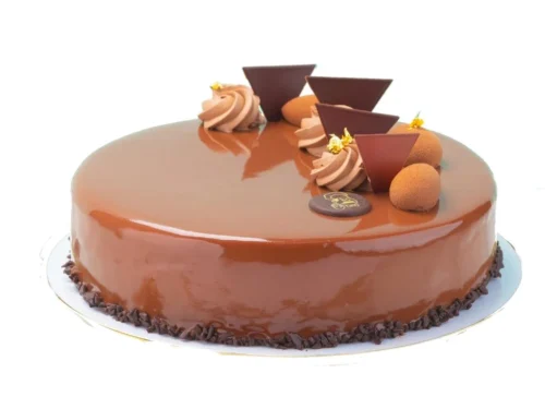 Chocolate Mousse Cake